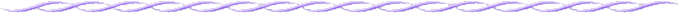 仕切りライン